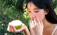 中文字幕看片在线a免费